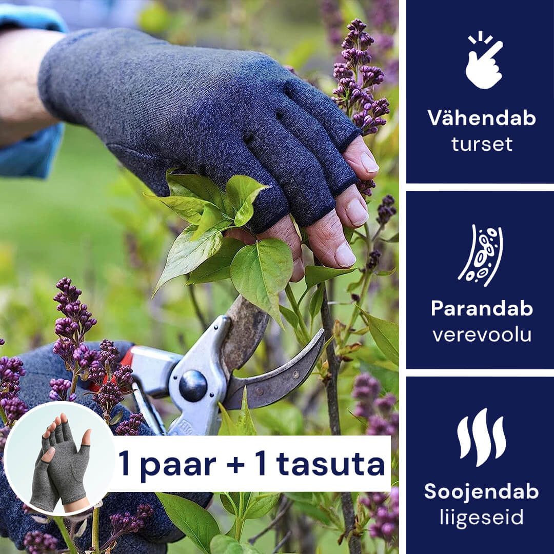 Artriidi kompressioonikindad